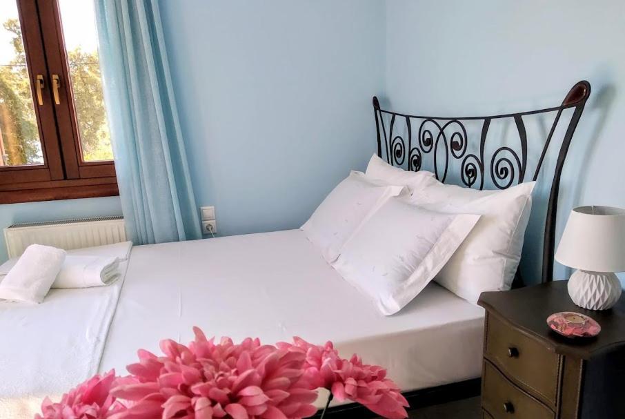 Ferienwohnung Pelion Seaside Luxury House Áfissos Exterior foto
