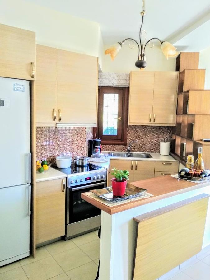 Ferienwohnung Pelion Seaside Luxury House Áfissos Exterior foto