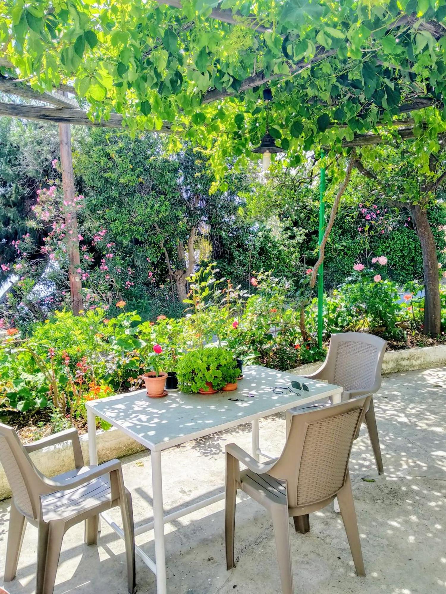 Ferienwohnung Pelion Seaside Luxury House Áfissos Exterior foto